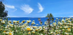 Angel clouds over farm