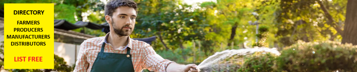 Directory slide 1 2 Directory slide 1 2