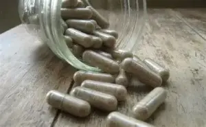 Icariin horny goat weed