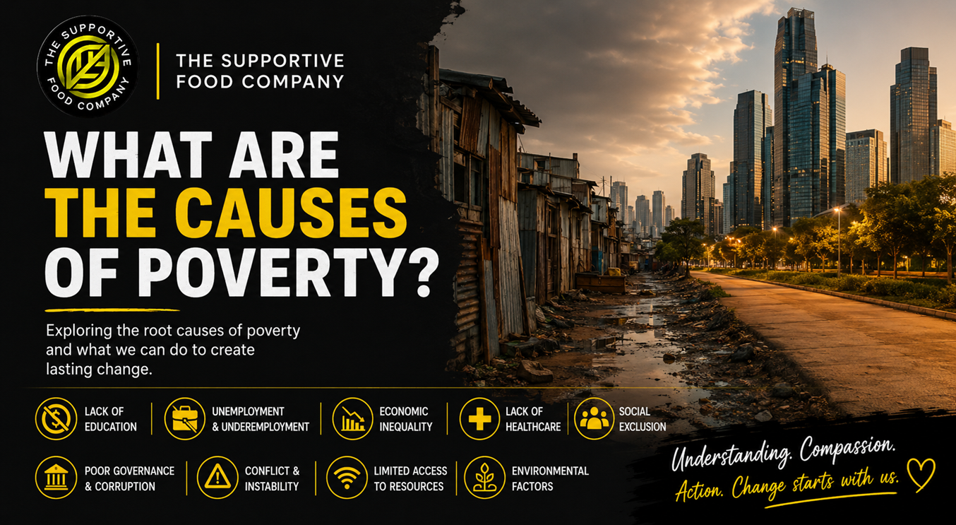 what are the causes of poverty