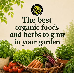 Organic food and herbs the best to grow