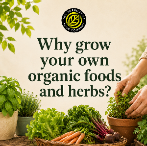 Organic food and herbs why grow them
